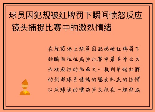球员因犯规被红牌罚下瞬间愤怒反应 镜头捕捉比赛中的激烈情绪